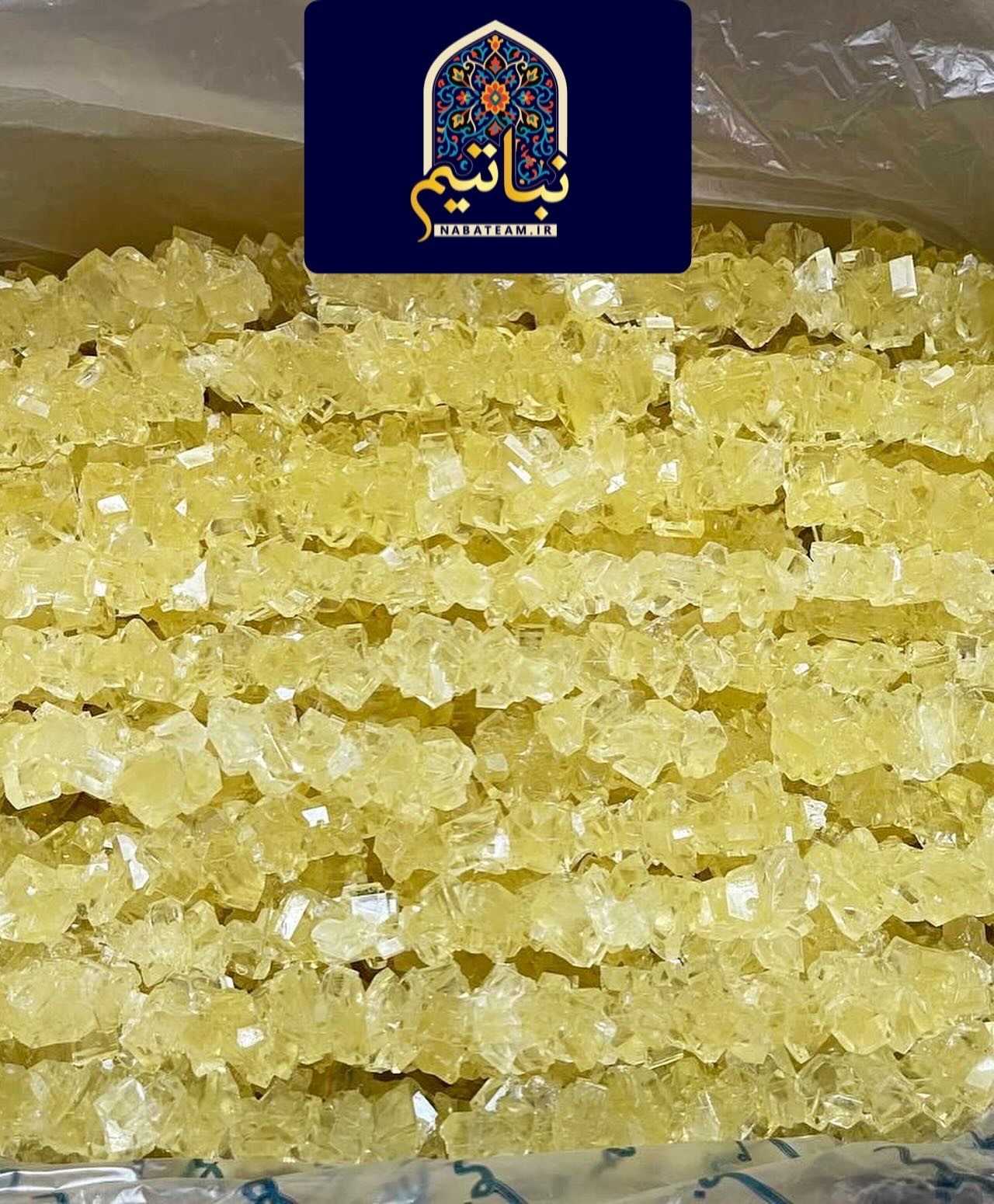 نبات شاخه زعفرانی کارتن ۱۰ کیلوگرم