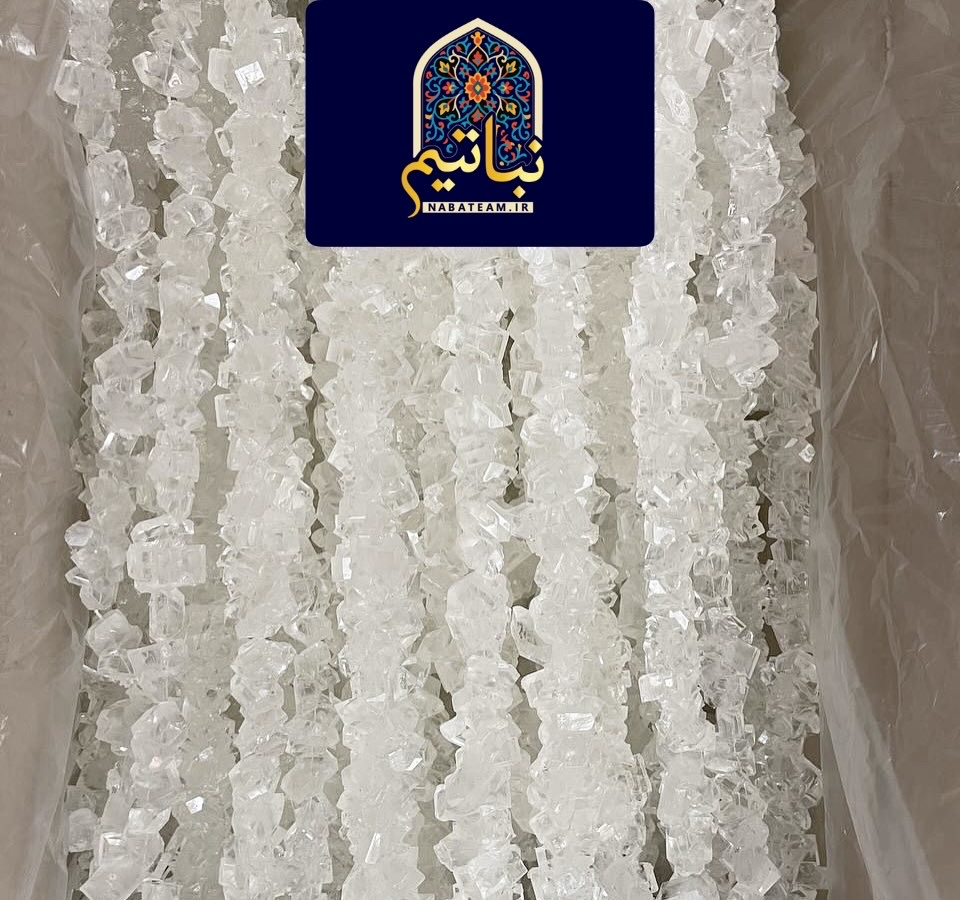 نبات شاخه سفید کارتن ۱۰کیلوگرم